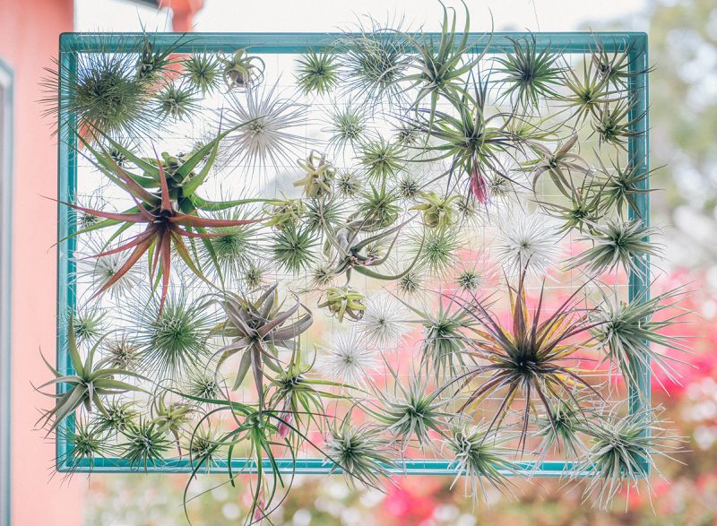 wire and frame air plants